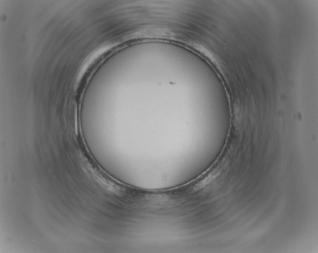 X0000071941123200607281937