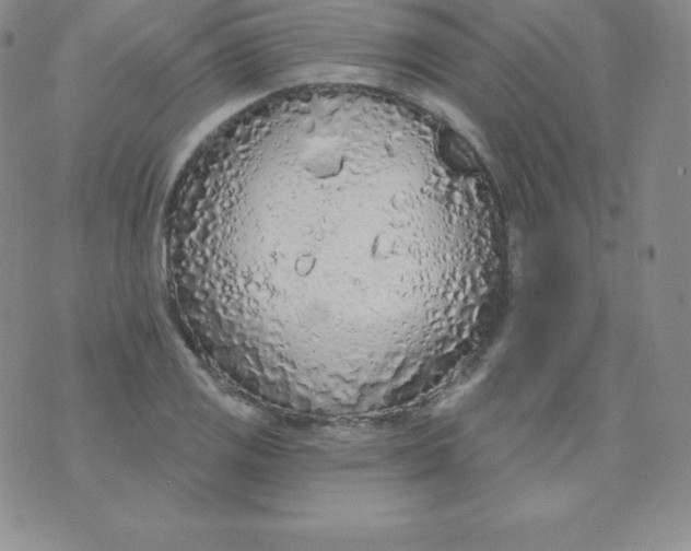 X0000071941125200607281937