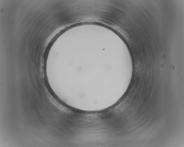 X0000071941126200607281937