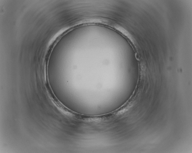 X0000071941127200607281937