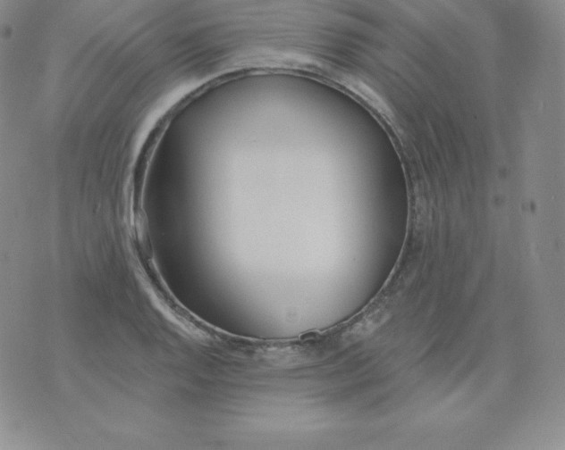 X0000071941128200607281937