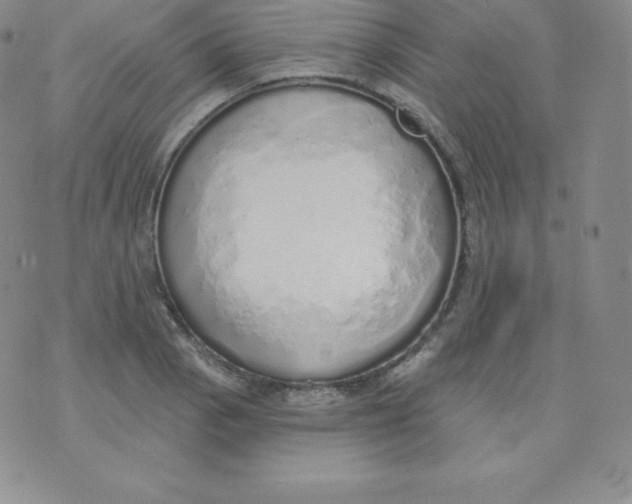 X0000071941129200607281937