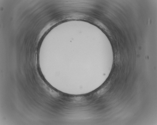 X0000071941130200607281937