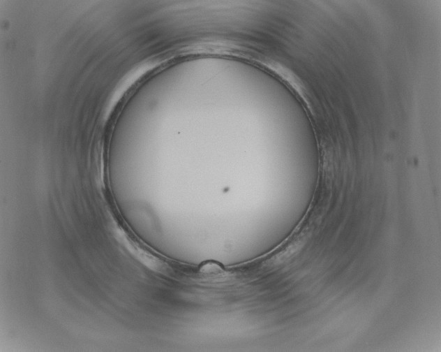 X0000071941131200607281937