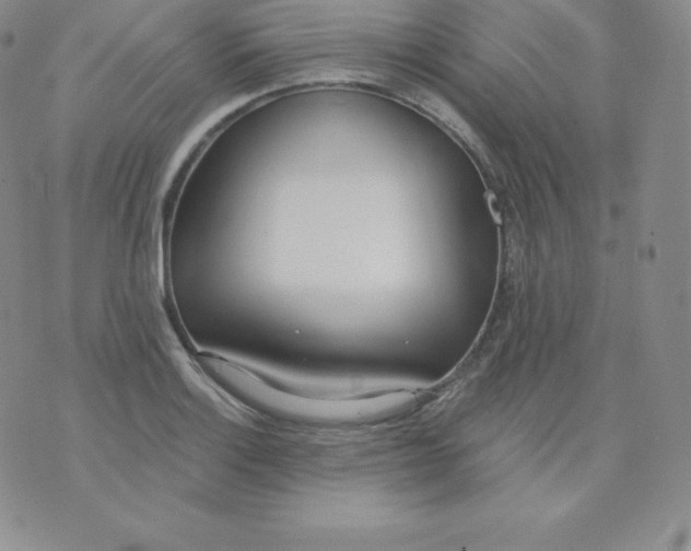 X0000071941132200607281937