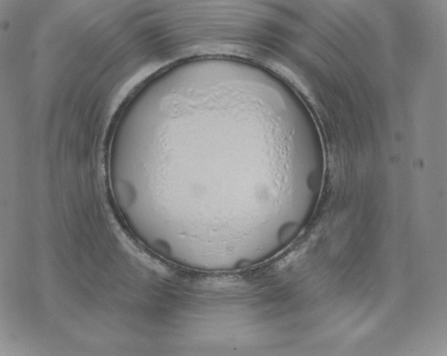 X0000071941133200607281937