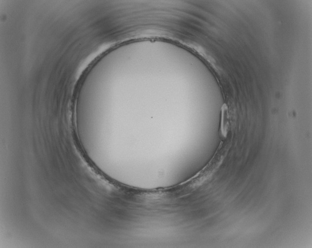 X0000071941134200607281937