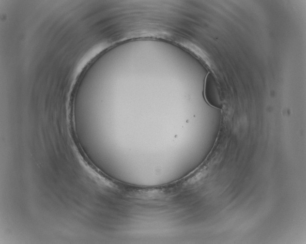 X0000071941135200607281937