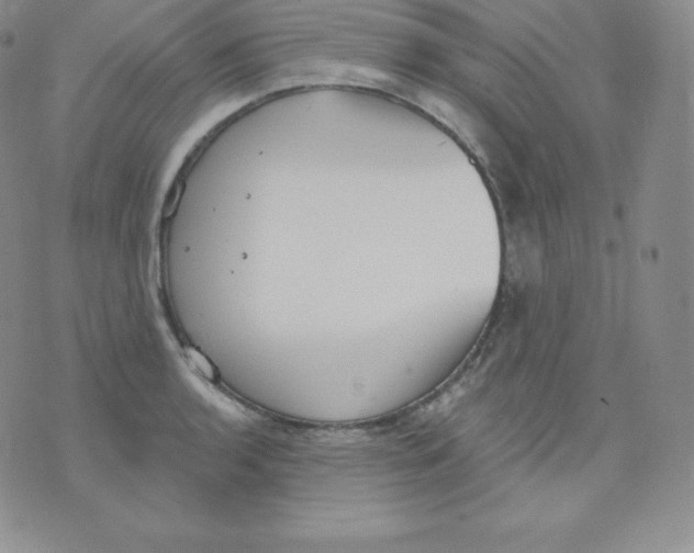 X0000071941136200607281937