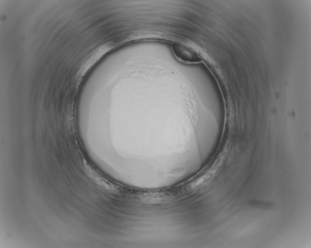 X0000071941137200607281937