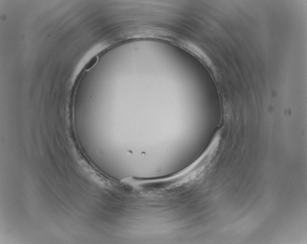 X0000071941138200607281937