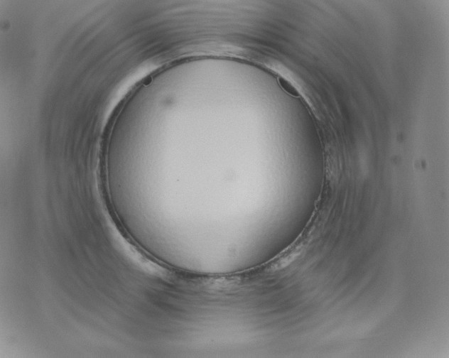 X0000071941139200607281937