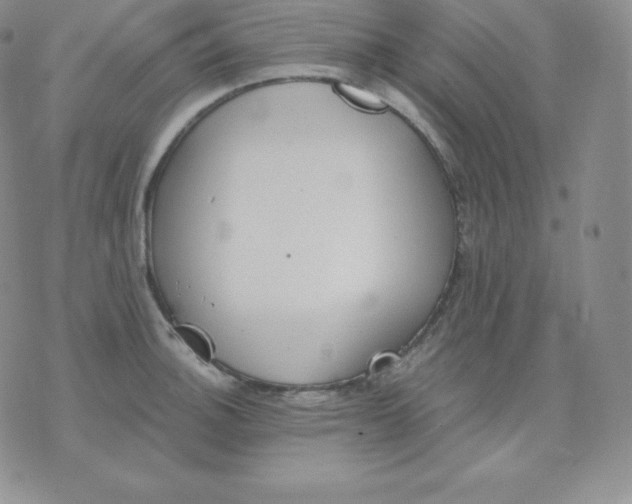 X0000071941140200607281937