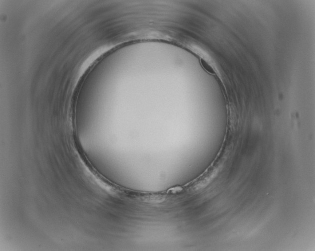 X0000071941141200607281937