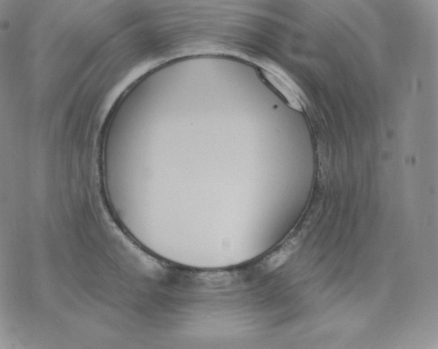 X0000071941142200607281937