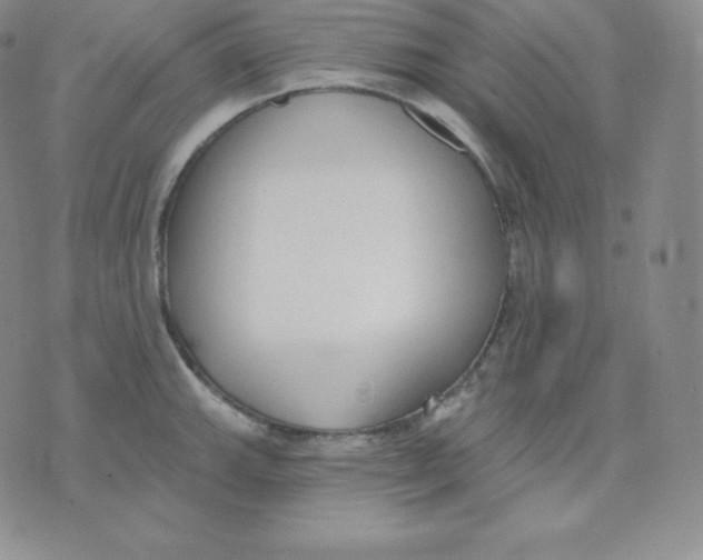 X0000071941143200607281937