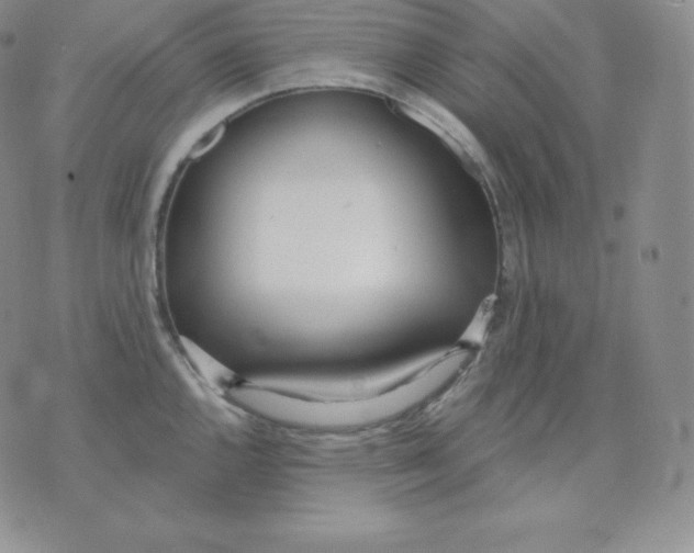 X0000071941144200607281937