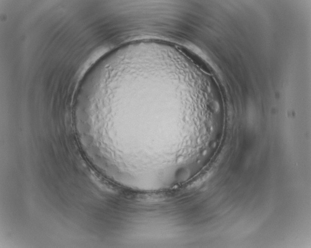 X0000071941145200607281937