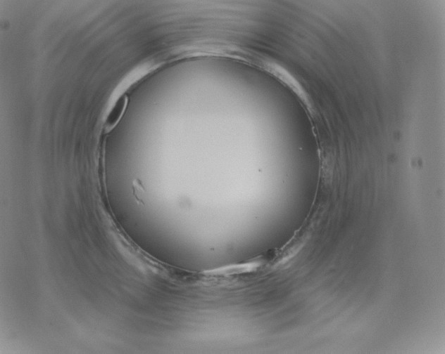 X0000071941146200607281937