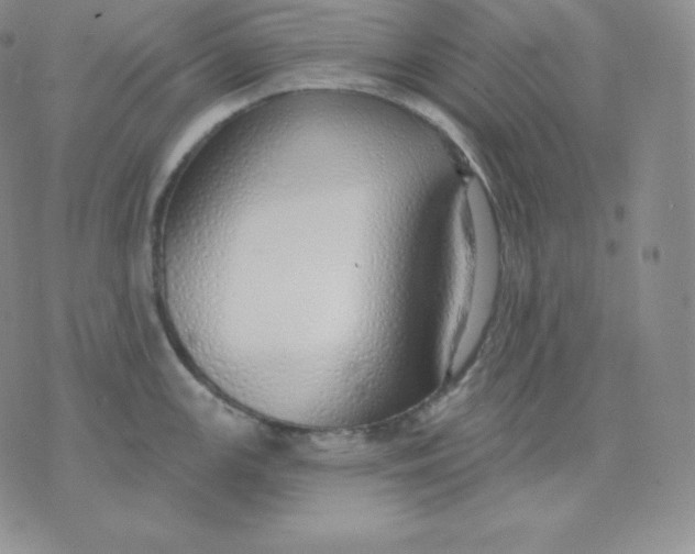 X0000071941147200607281937