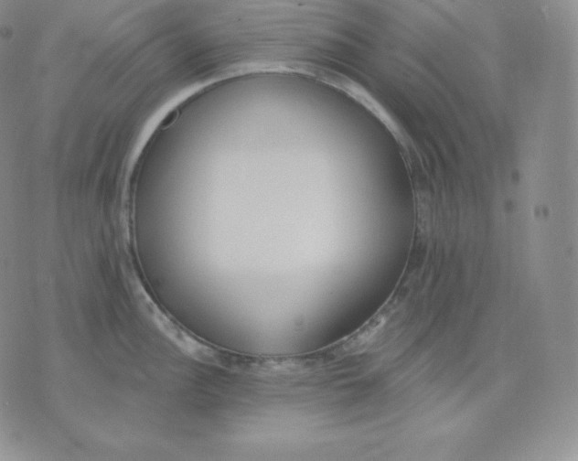 X0000071941148200607281937