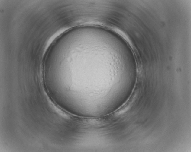 X0000071941149200607281937