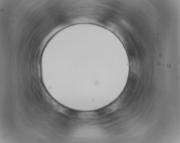 X0000071941150200607281937