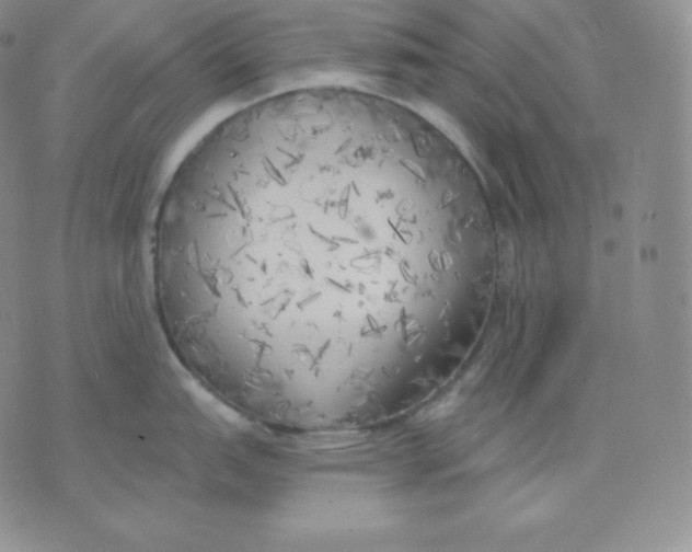 X0000071941151200607281937