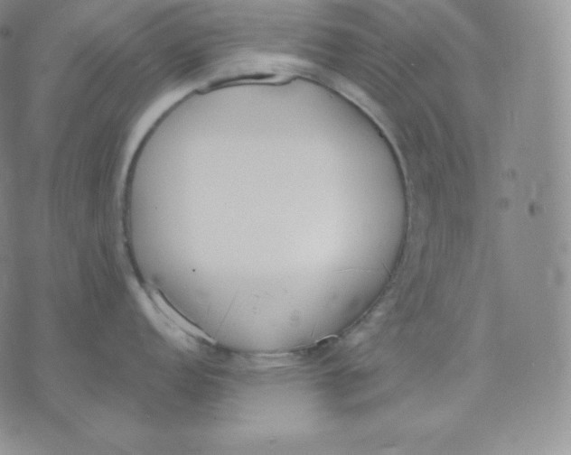 X0000071941152200607281937