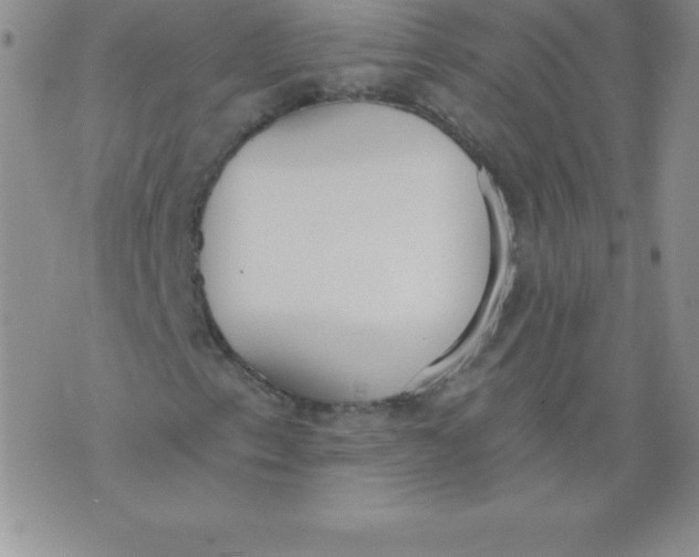 X0000071941153200607281936