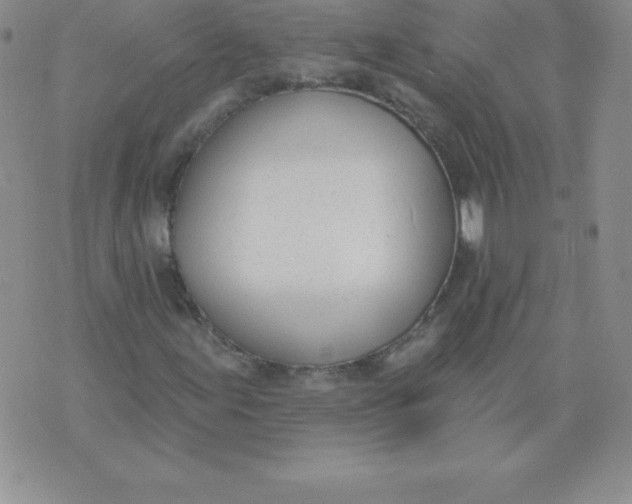 X0000071941155200607281936