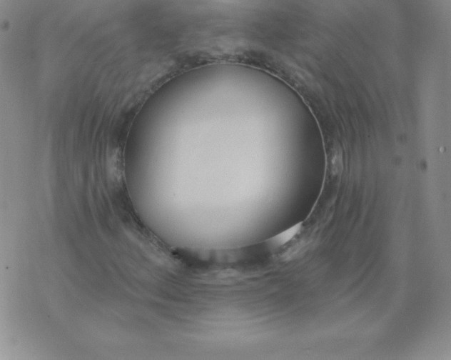 X0000071941156200607281936