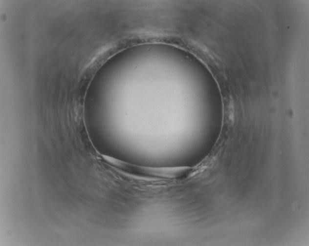 X0000071941157200607281936