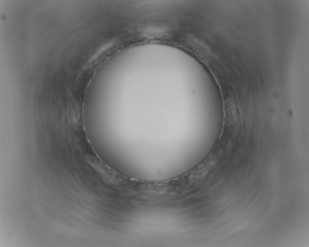 X0000071941158200607281936