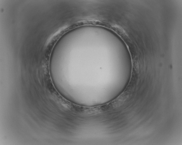 X0000071941159200607281936