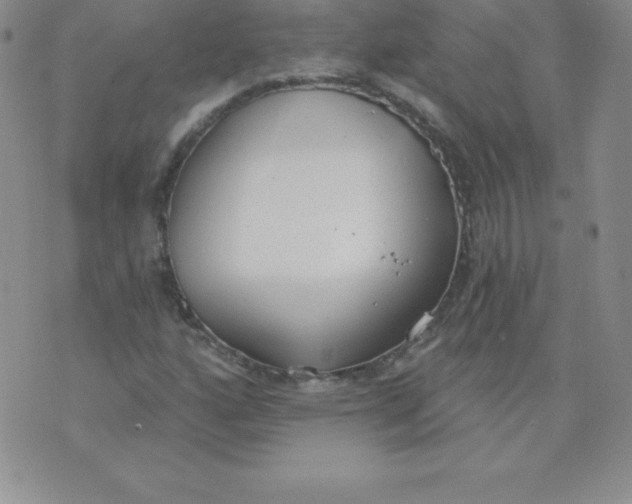 X0000071941160200607281936