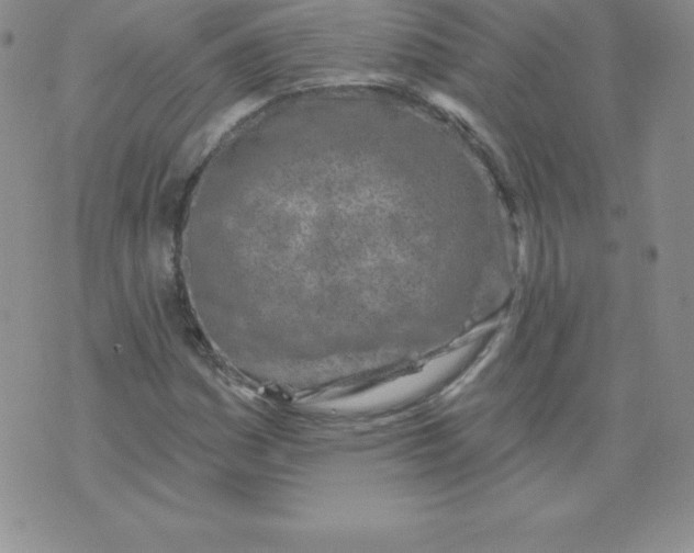 X0000071941161200607281936