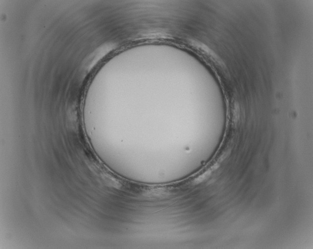 X0000071941162200607281936