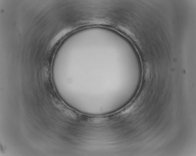 X0000071941163200607281936