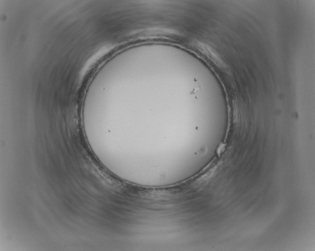 X0000071941164200607281936