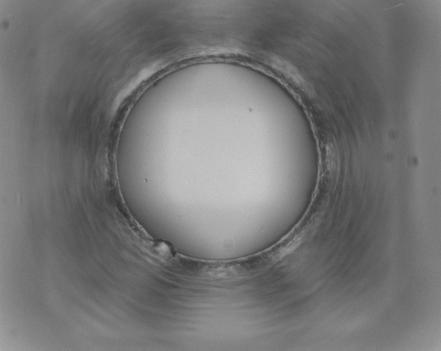 X0000071941165200607281936