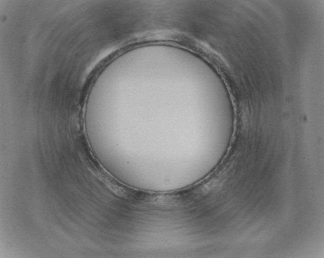 X0000071941166200607281936