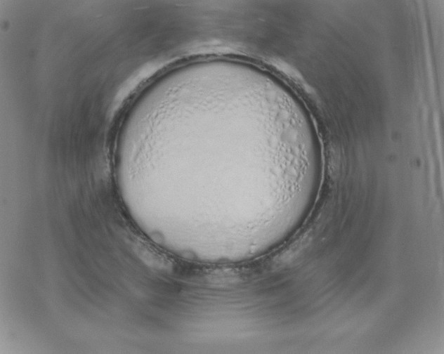 X0000071941167200607281936