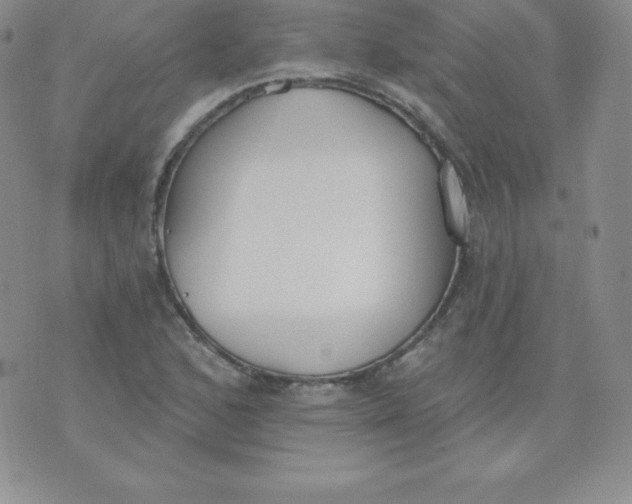 X0000071941168200607281936