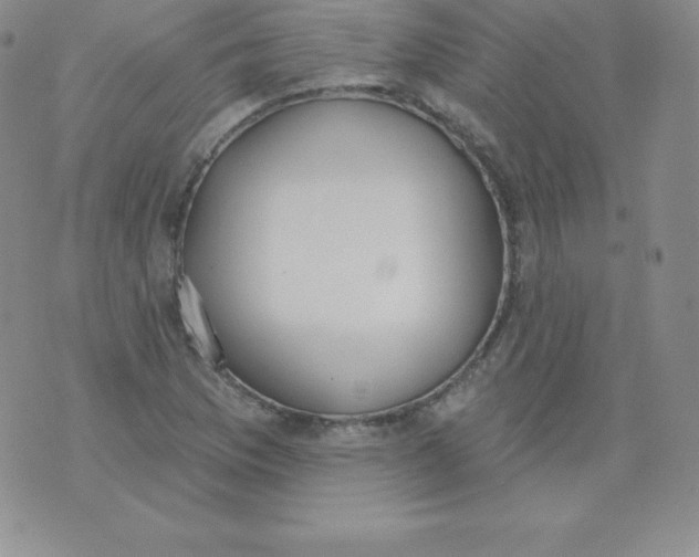 X0000071941169200607281936