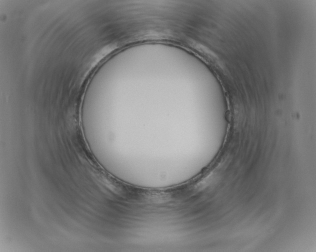 X0000071941170200607281936