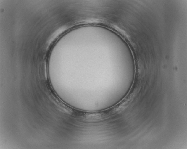 X0000071941171200607281936