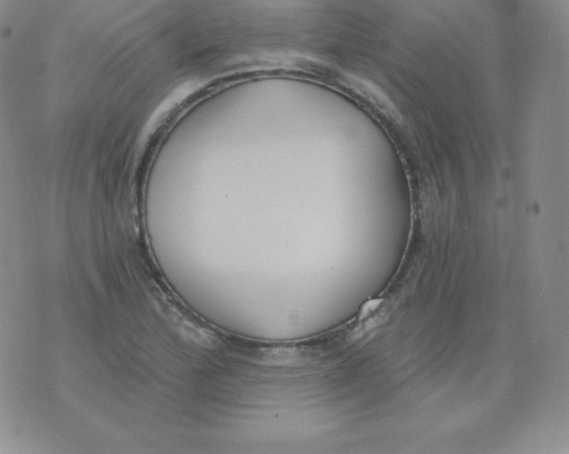 X0000071941172200607281936