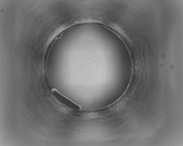 X0000071941173200607281936