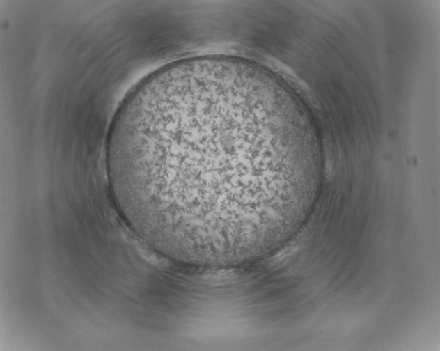 X0000071941174200607281936